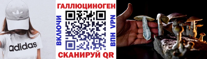 Галлюциногенные грибы Psilocybine cubensis  кракен как зайти  Семикаракорск  купить  